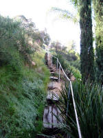 The Path to the Chapel